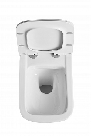 Подвесной унитаз Terminus Ното 550х350 белый Северск - фото 6