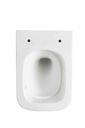 Подвесной унитаз безободковый Terminus Ватикан 490х340 белый Северск - фото 5