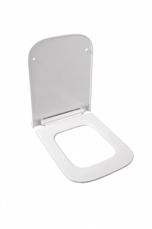 Сиденье для унитаза Terminus Ното цвет белый Северск - фото 2