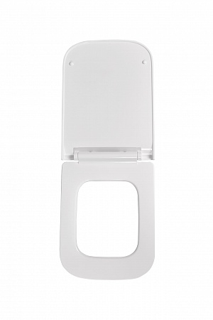 Сиденье для унитаза Terminus Ното цвет белый Северск - фото 3